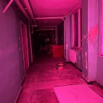 Паранормално funbusters