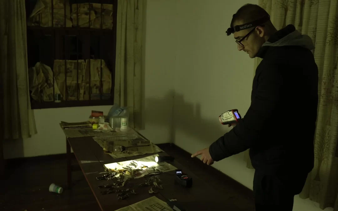 Кога ще излезе видеото за дома на самодивите село Стражата?