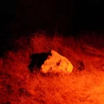 Царичина-снимка1