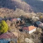 село стражата снимка4