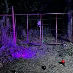 Специална Хелоуин изненада снимка1