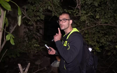 Кога ще излезе трейлъра на следващият епизод от „Мистериозни нощи“ сезон 3?